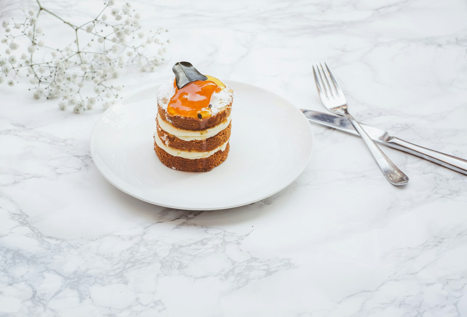 Vacherin: A Delightful Dessert for Special Moments